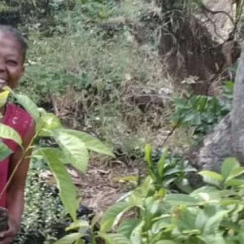 Screenshot 2024-12-02 at 2.21.53 PM